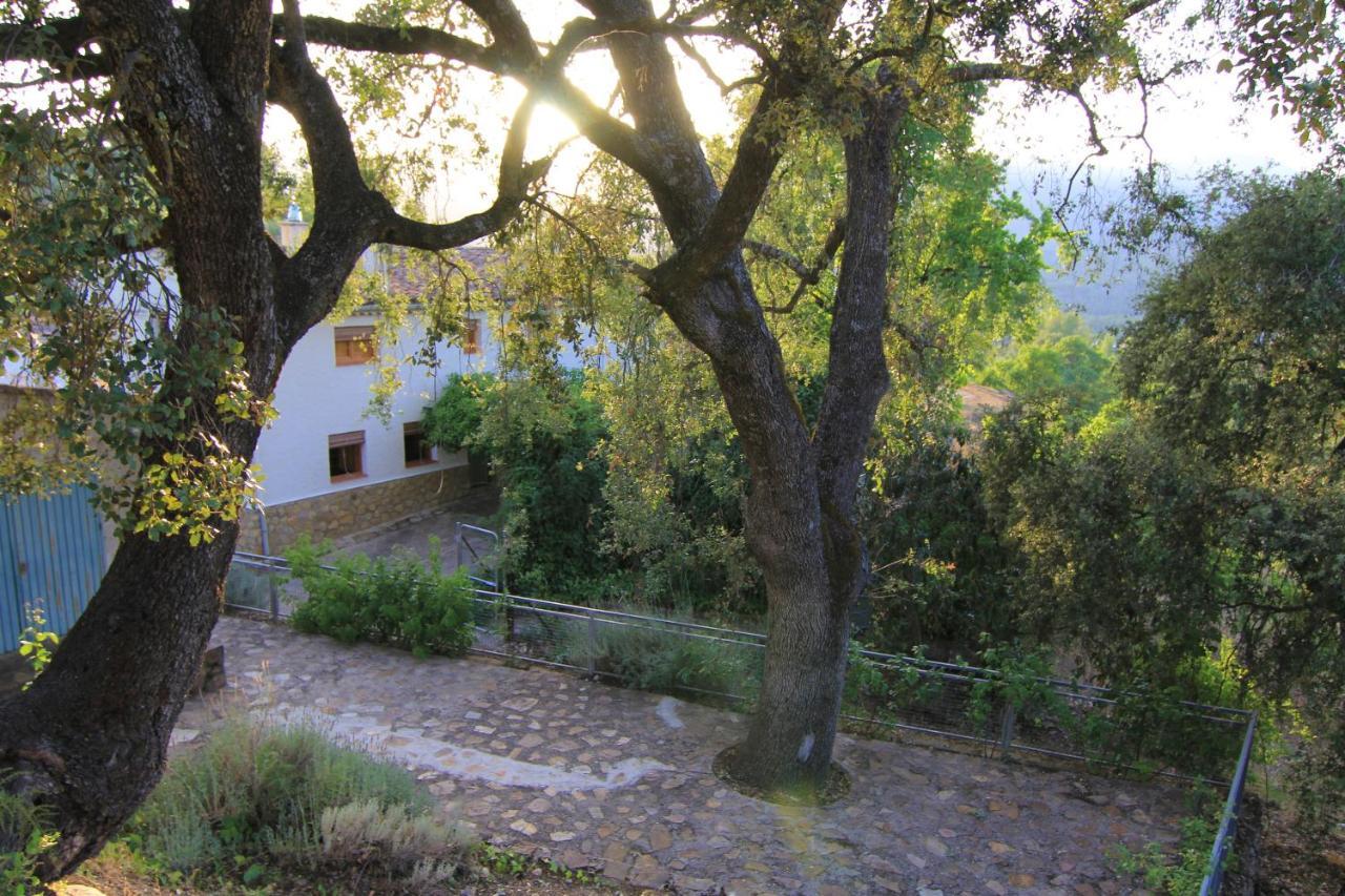 Ferienhaus Mesoncillo Neo *