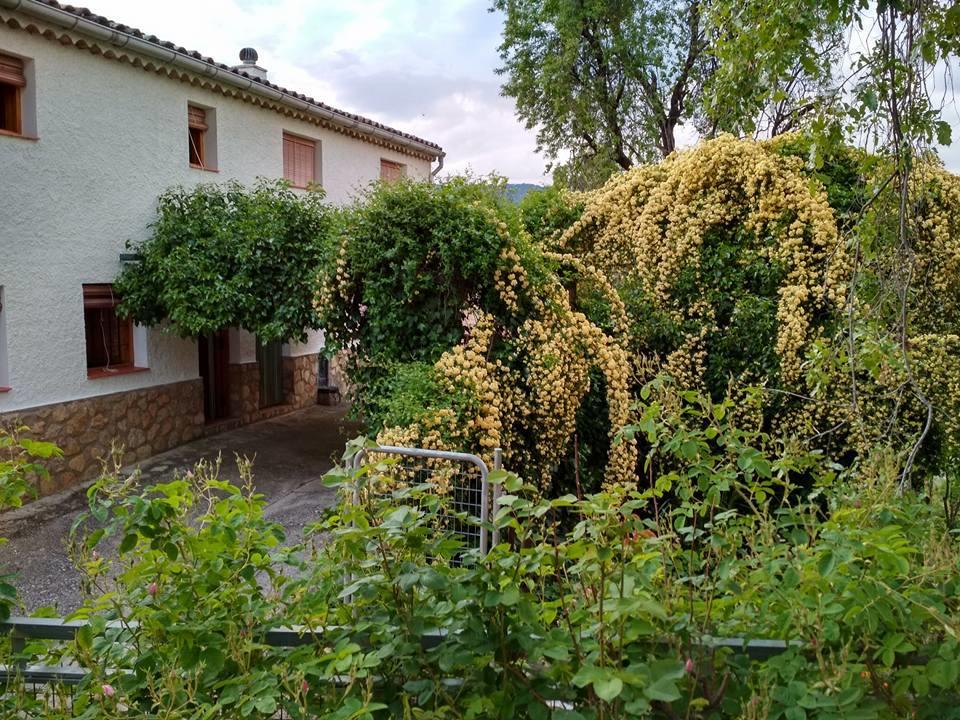 Ferienhaus Mesoncillo Neo *