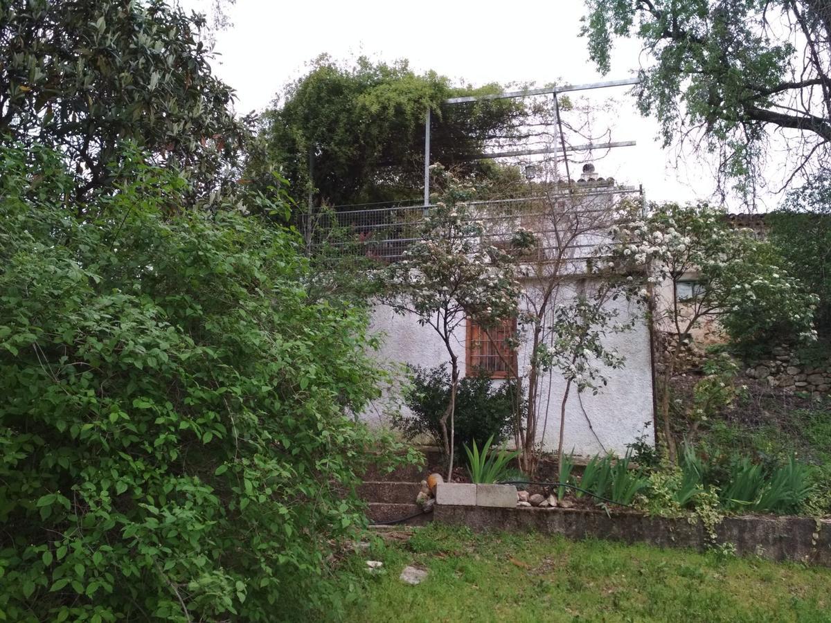 Сasa de vacaciones Mesoncillo Neo